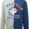 Jack & Jones Cement / Oversize Brooklyn Sweat Crew Neck