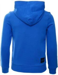 Calvin Klein Blooming Blue Junior Organic Cotton Logo Hoodie -Jack & Jones Store 23829 3
