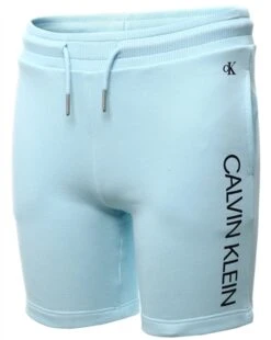 Calvin Klein Keepsake Blue Institutional Logo Junior Shorts