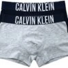 Calvin Klein Grey Heather / Navy Iris 2 Pack Junior Boxers