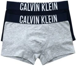 Calvin Klein Grey Heather / Navy Iris 2 Pack Junior Boxers