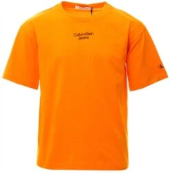 Calvin Klein Orange Summit Junior Relaxed Logo T-Shirt