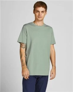Jack & Jones Slate Grey / Green Organic Cotton T-Shirt -Jack & Jones Store 24717 3