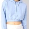 Champion Blue Crop Hooded Top