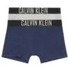 Calvin Klein Grey Heather / Blue Shadow 2 Pack Junior Trunks - Intense Power