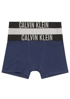 Calvin Klein Grey Heather / Blue Shadow 2 Pack Junior Trunks - Intense Power