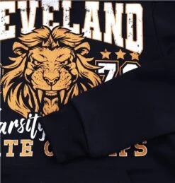 Brave Soul Navy Chest Print Drawstring Detail Over Head Hoody -Jack & Jones Store 26939 2