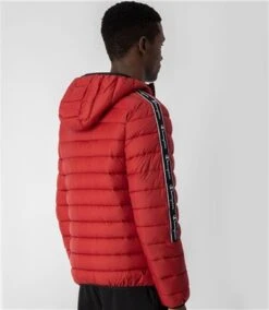 Champion Oxblood Hooded Jacquard Tape Padded Jacket -Jack & Jones Store 27055 2
