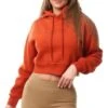 Nicce Ginger Ersa Cropped Hoodie