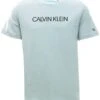 Calvin Klein Muted Aqua Junior Organic Cotton Logo T-Shirt