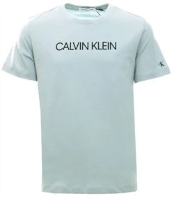 Calvin Klein Muted Aqua Junior Organic Cotton Logo T-Shirt