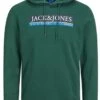 Jack & Jones Green / Trekking Green Standard Fit Hoodie Sweatshirt