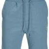 Jack & Jones Flint Stone Shark Comfort Fit Shorts