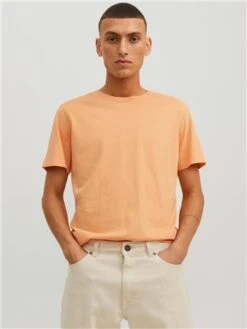 Jack & Jones Orange Tee -Jack & Jones Store 28082 3