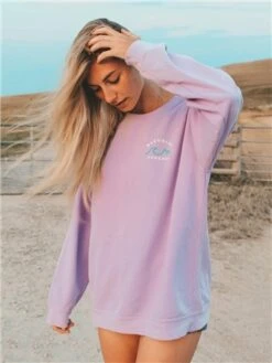 Bleubird Lavender Horizon Crew Sweat -Jack & Jones Store 28235 3