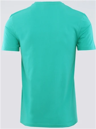Capo Green Essential T-Shirt 4 Capo Green Essential T-Shirt - Image 4