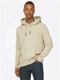 Only & Sons Grey / Silver Lining Regular Fit Sweat Hoodie -Jack & Jones Store 28911 3