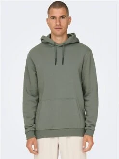 Only & Sons Grey / Castor Gray Regular Fit Sweat Hoodie -Jack & Jones Store 28913 3