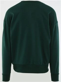 Brave Soul Hunter Green Phoenix Crew Neck Sweater -Jack & Jones Store 28923 3
