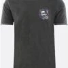Dv8 Acid Grey Skull Printed T-Shirt