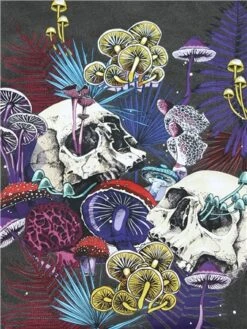 Dv8 Acid Grey Skull Printed T-Shirt -Jack & Jones Store 28943 2