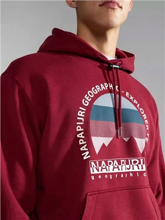 Napapijri Bordeaux Telemark Hoodie 2 Napapijri Bordeaux Telemark Hoodie - Image 2
