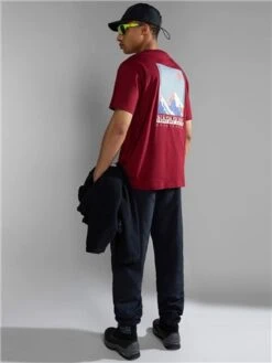 Napapijri Bordeaux Telemark Short Sleeve T-Shirt -Jack & Jones Store 29152 2