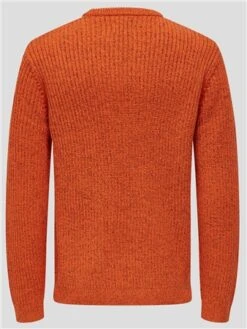 Only & Sons Orange / Orangeade Malaki Crew Knit -Jack & Jones Store 29562 3